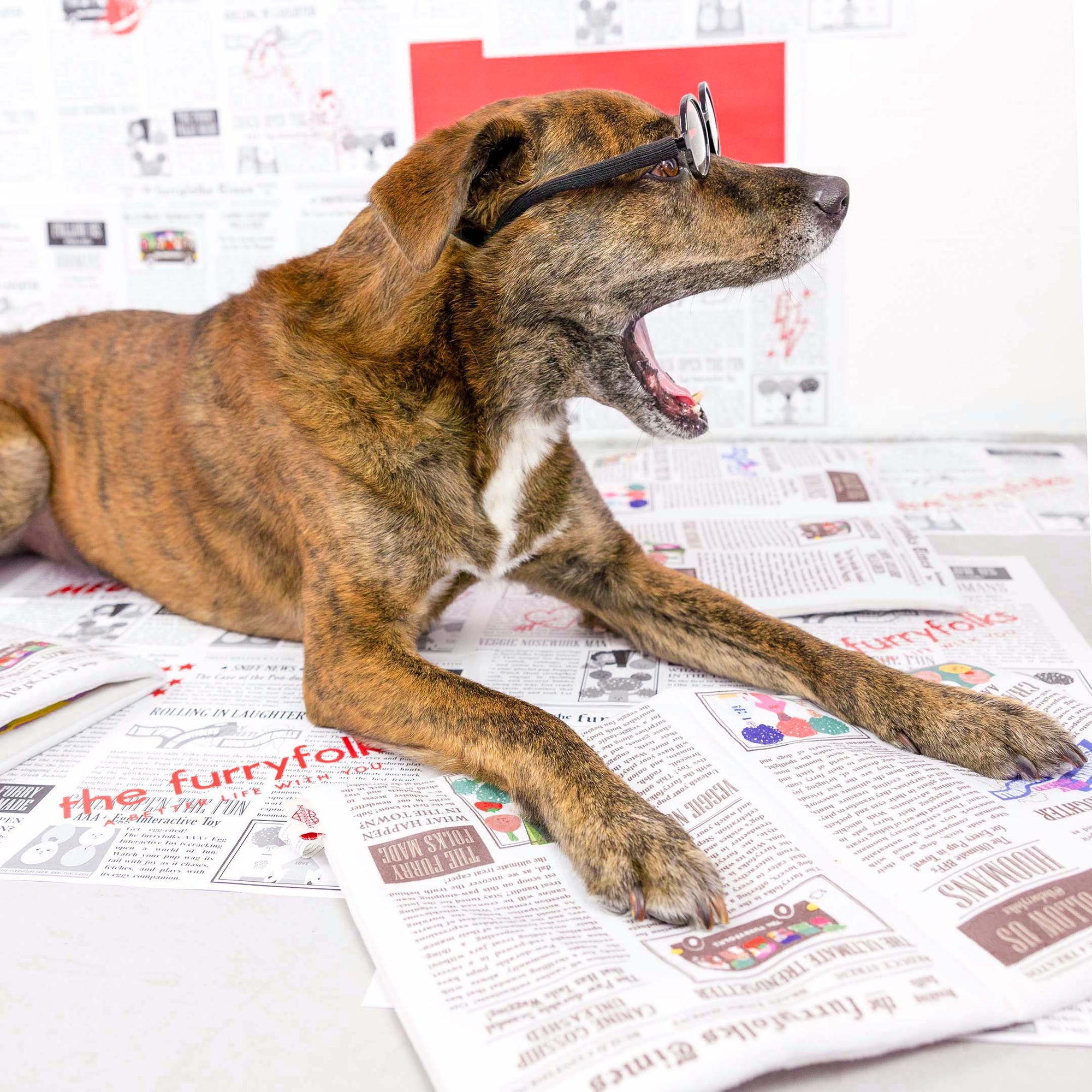 the furryfolks - Newspaper Nosework Toy