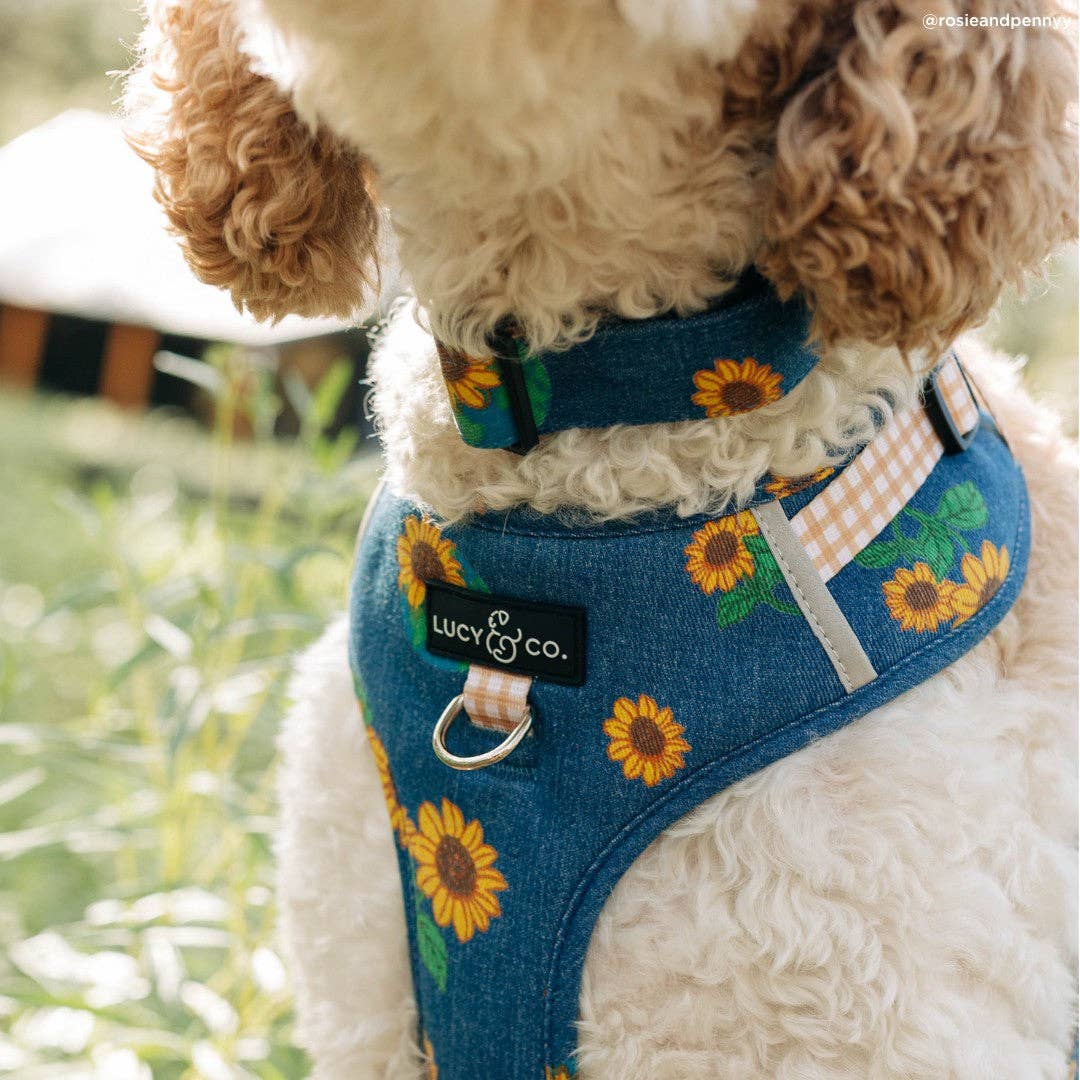 Lucy &amp; Co. - Sunflower Power Denim No-Pull Harness