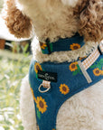 Lucy & Co. - Sunflower Power Denim No-Pull Harness