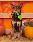 BARK Flutter & Fang Plush Dog Toy