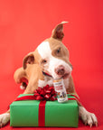 Polkadog - Holiday Mini Tube: Stocking Stuffer - Dog Treats