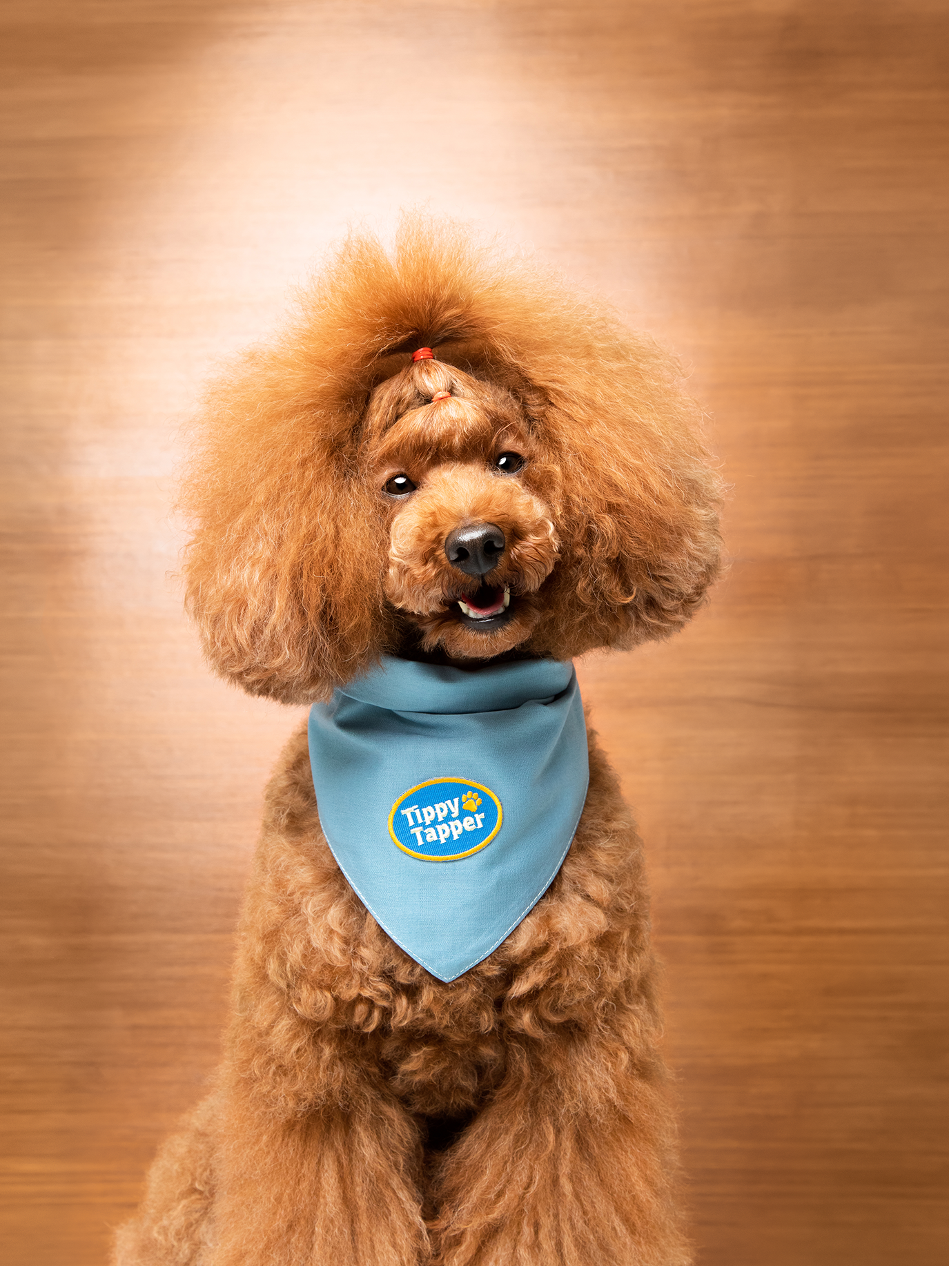 Scout's Honour Pty Ltd - Tippy Tapper iron-on patch for dogs and cats