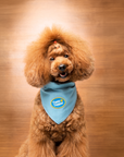 Scout's Honour Pty Ltd - Tippy Tapper iron-on patch for dogs and cats