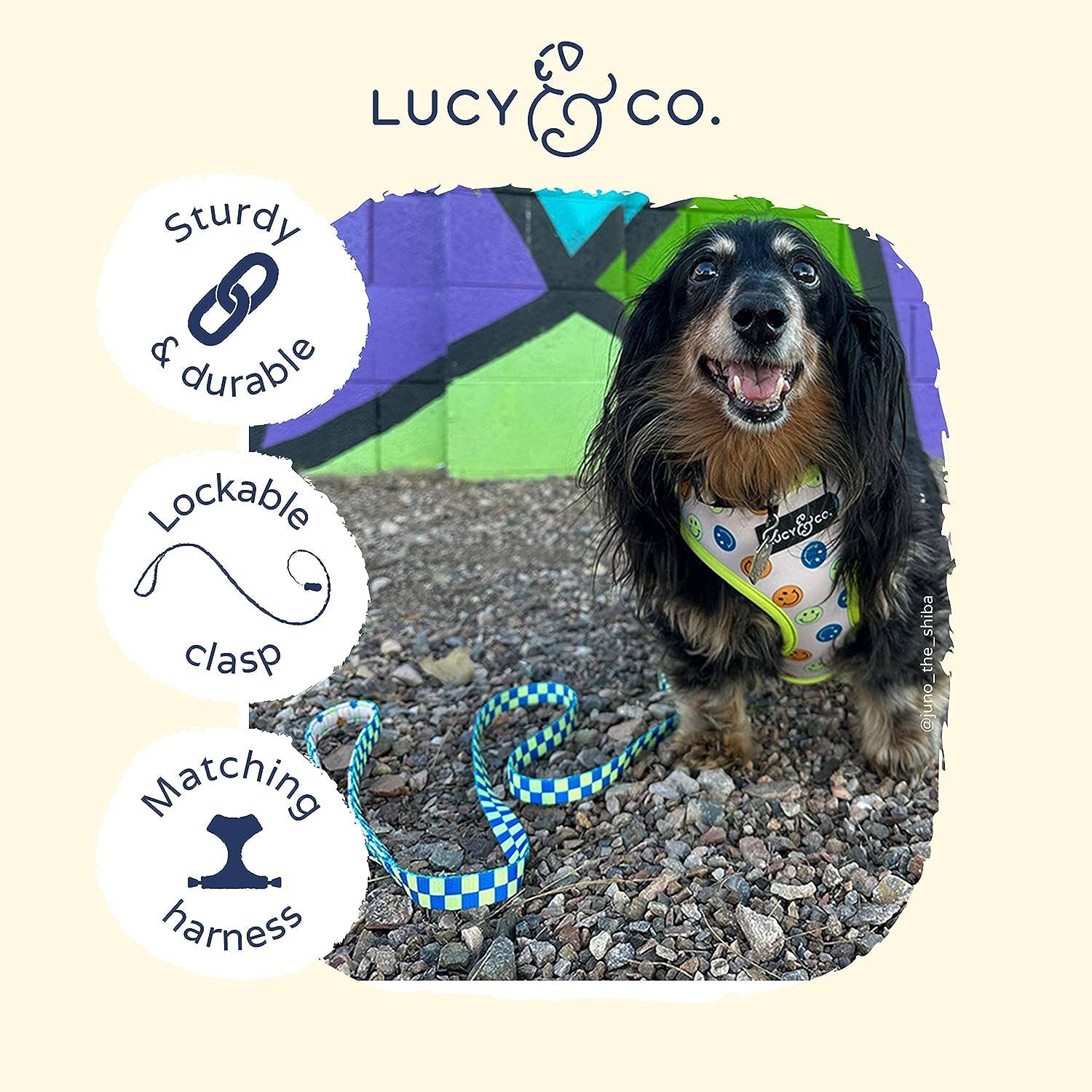 Lucy &amp; Co. - Have a Nice Day Leash: Large