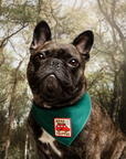 Scout's Honour Pty Ltd - Road Tripper iron-on patch for dogs and cats
