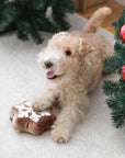 Lambwolf Collective - SNOWFLAKE SNUFFLE COOKIE // HOLIDAY: NUDE
