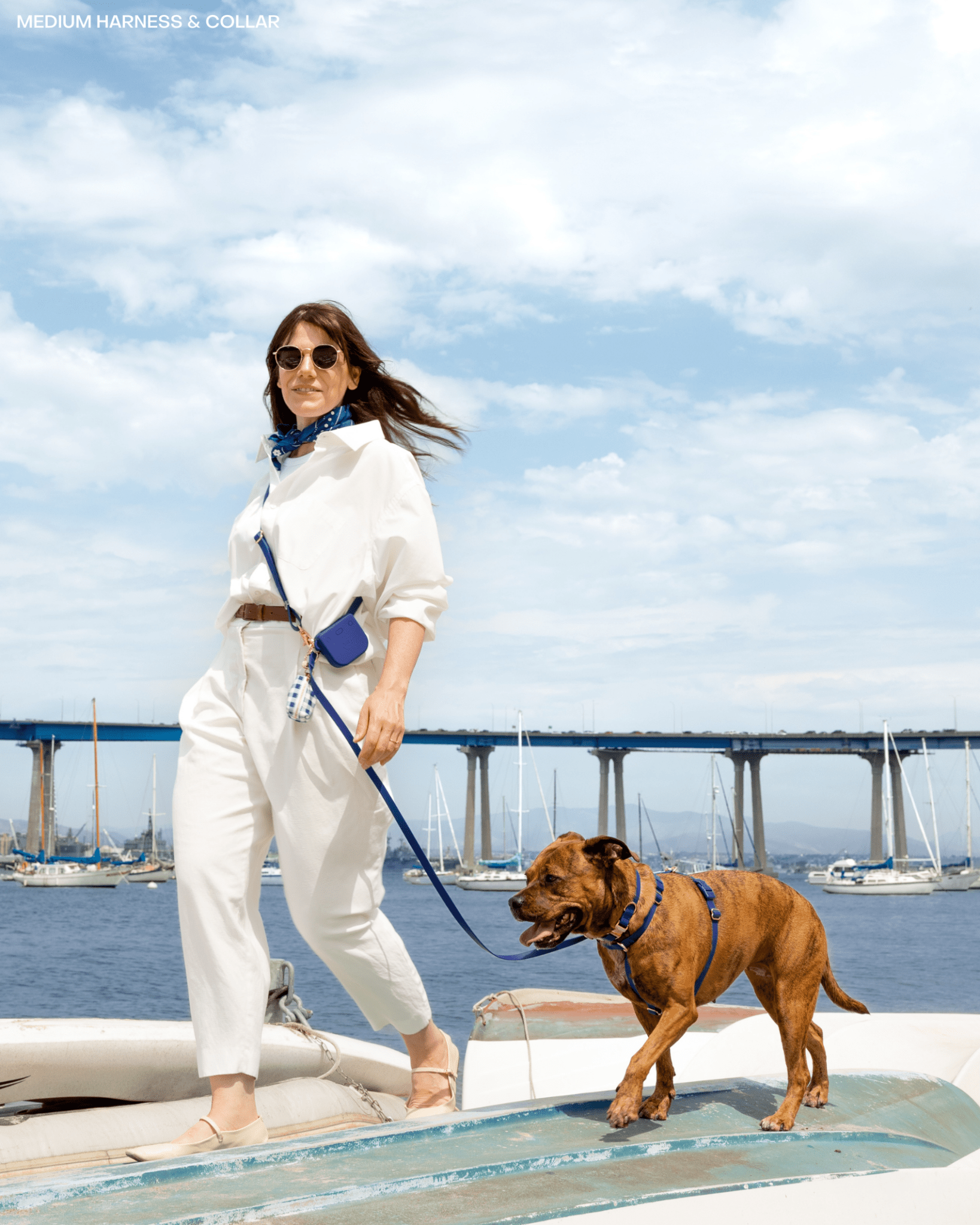 SUNNY TAILS - Signature Navy Waterproof Dog Collar: LARGE