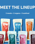 Max & Bella - Freeze-Dried Capelin Treats for Dogs & Cats — Single Ingredient, Grab-and-Go Packs: 10-Pack