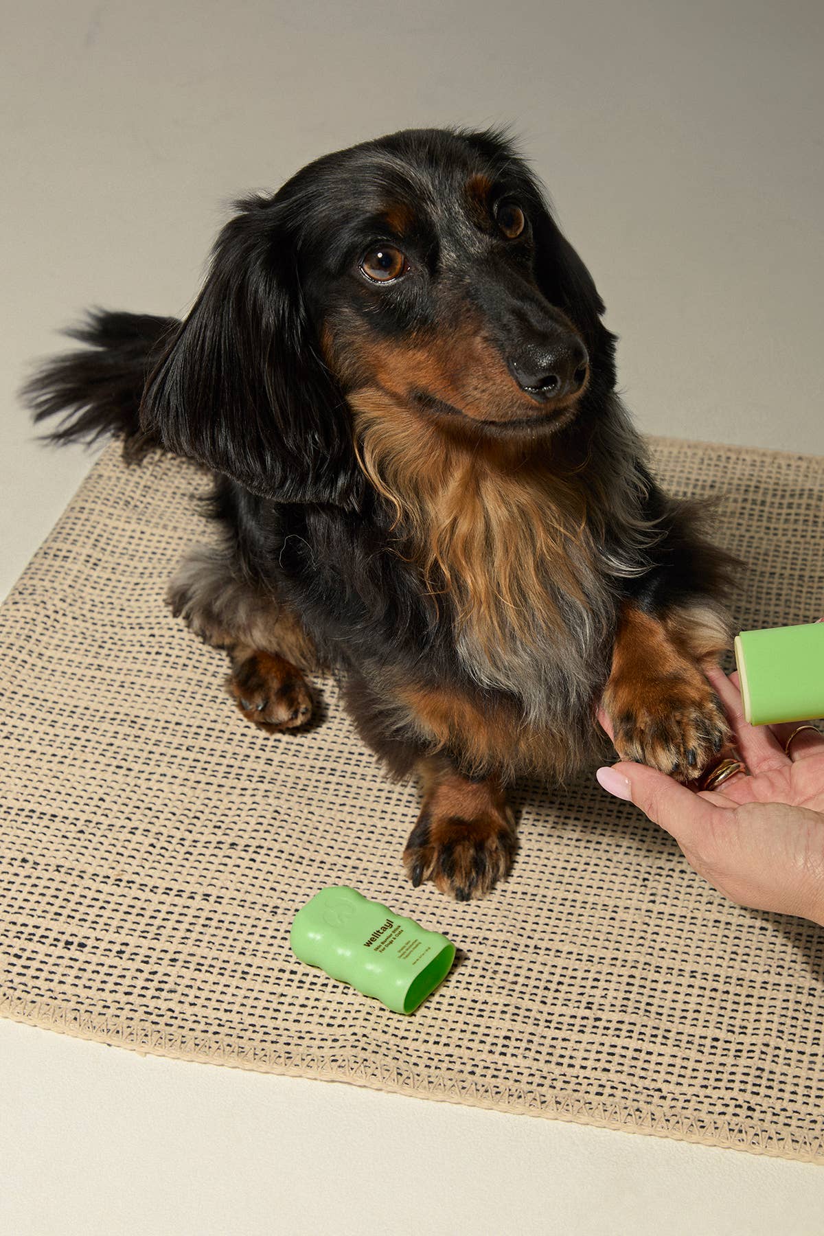 Welltayl - Dog Skin Barrier Stick (Cat-Safe)
