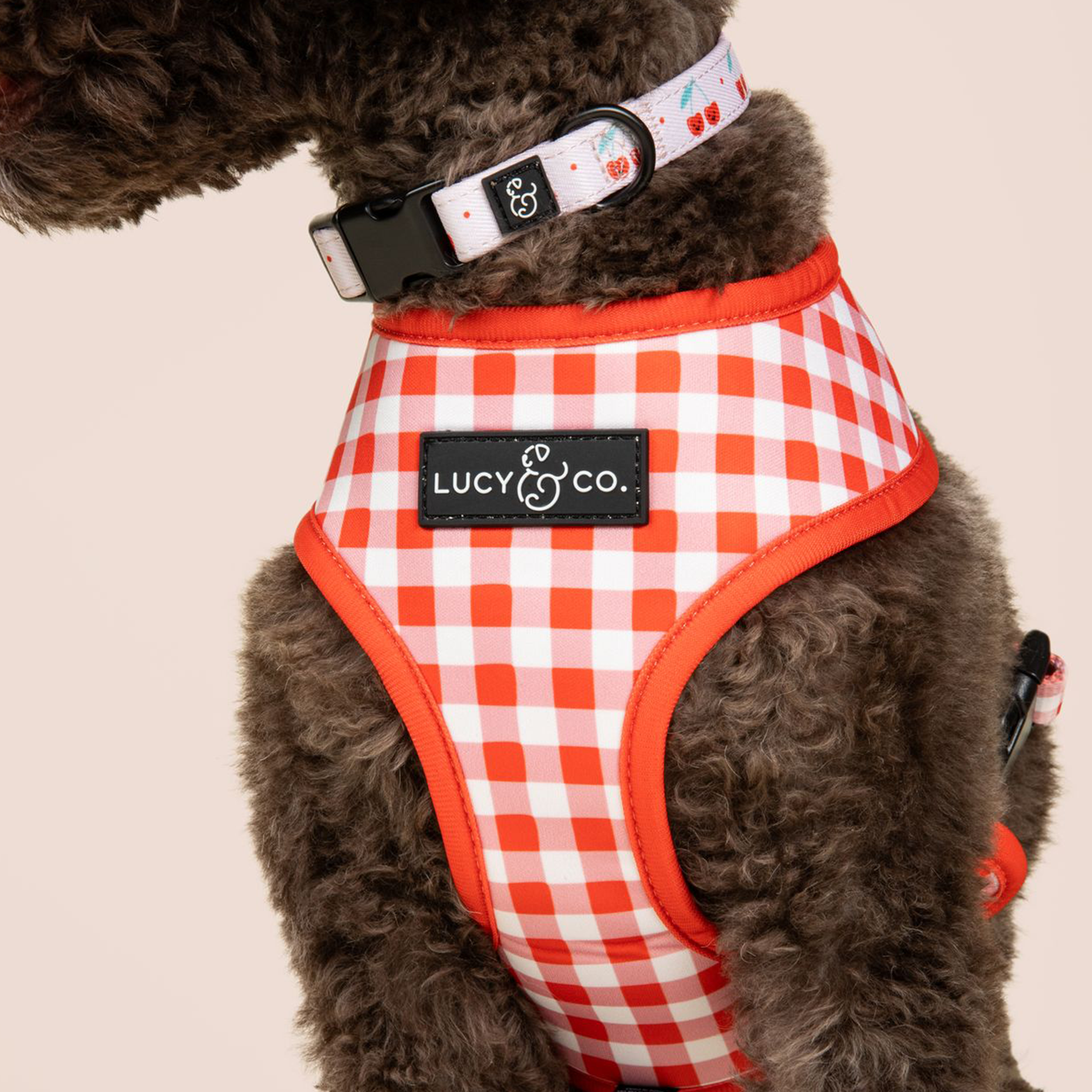 Lucy &amp; Co. - The Cheery Cherries Reversible Harness