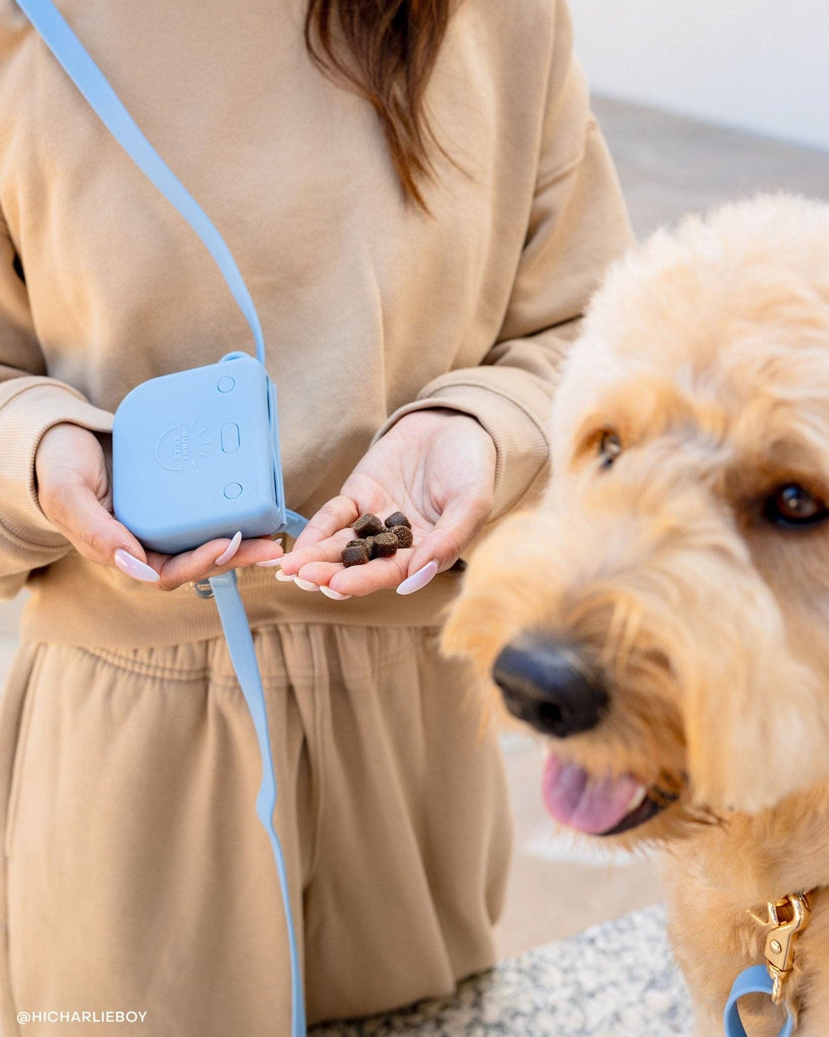 SUNNY TAILS - Lavender Haze Snap Dog Treat Pouch: Large (1-1/2 cups)