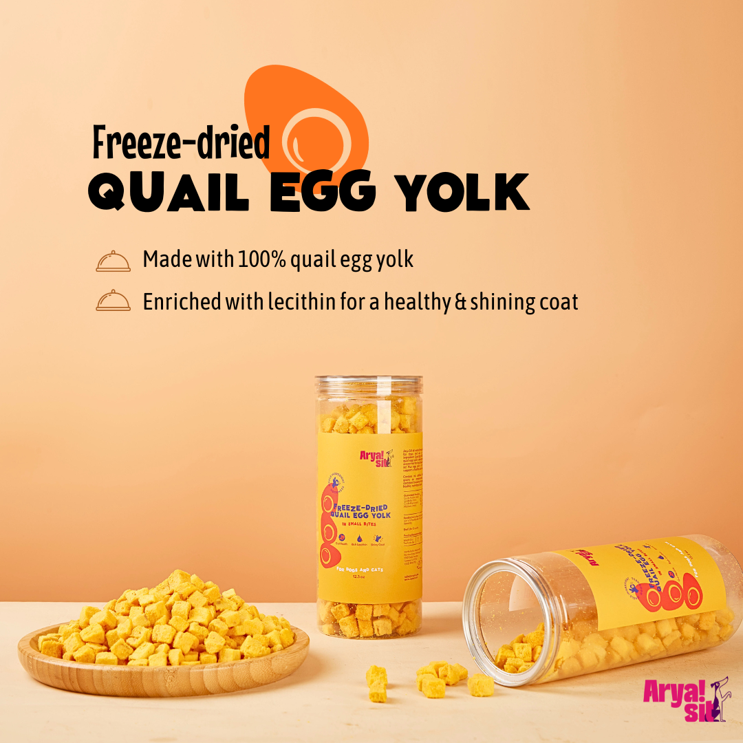 Arya Sit Freeze-Dried Egg Yolk Bites