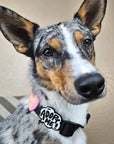 Jiby Dog Crew - Adopt Me Jiby
