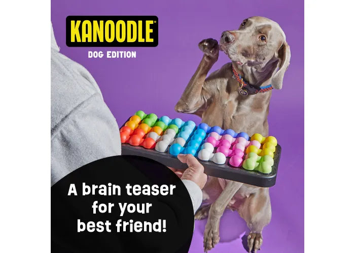 Brightkins Kanoodle Dog Edition - Large
