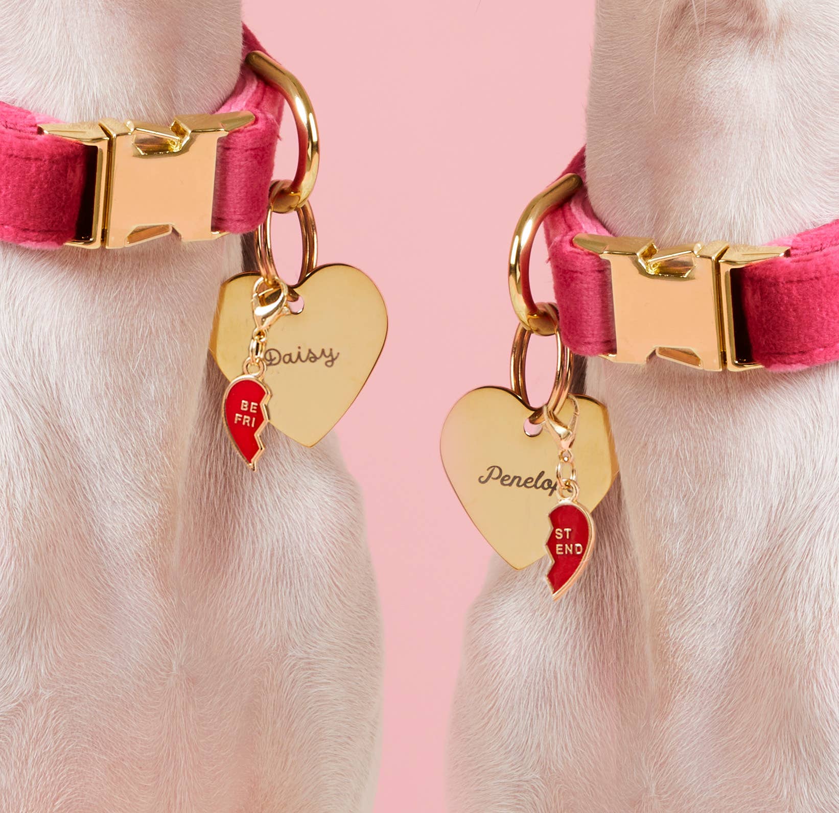 The Foggy Dog - BFF Hearts Collar Charm