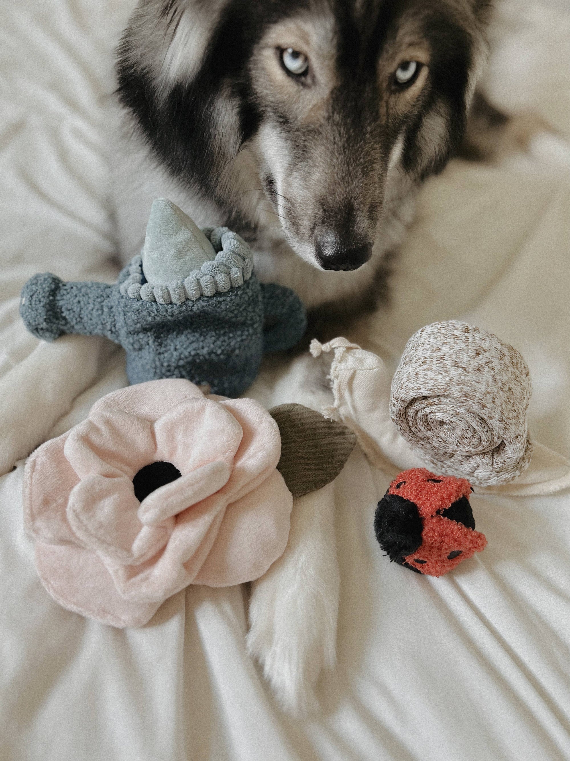 Lambwolf Collective - Poppy: Small