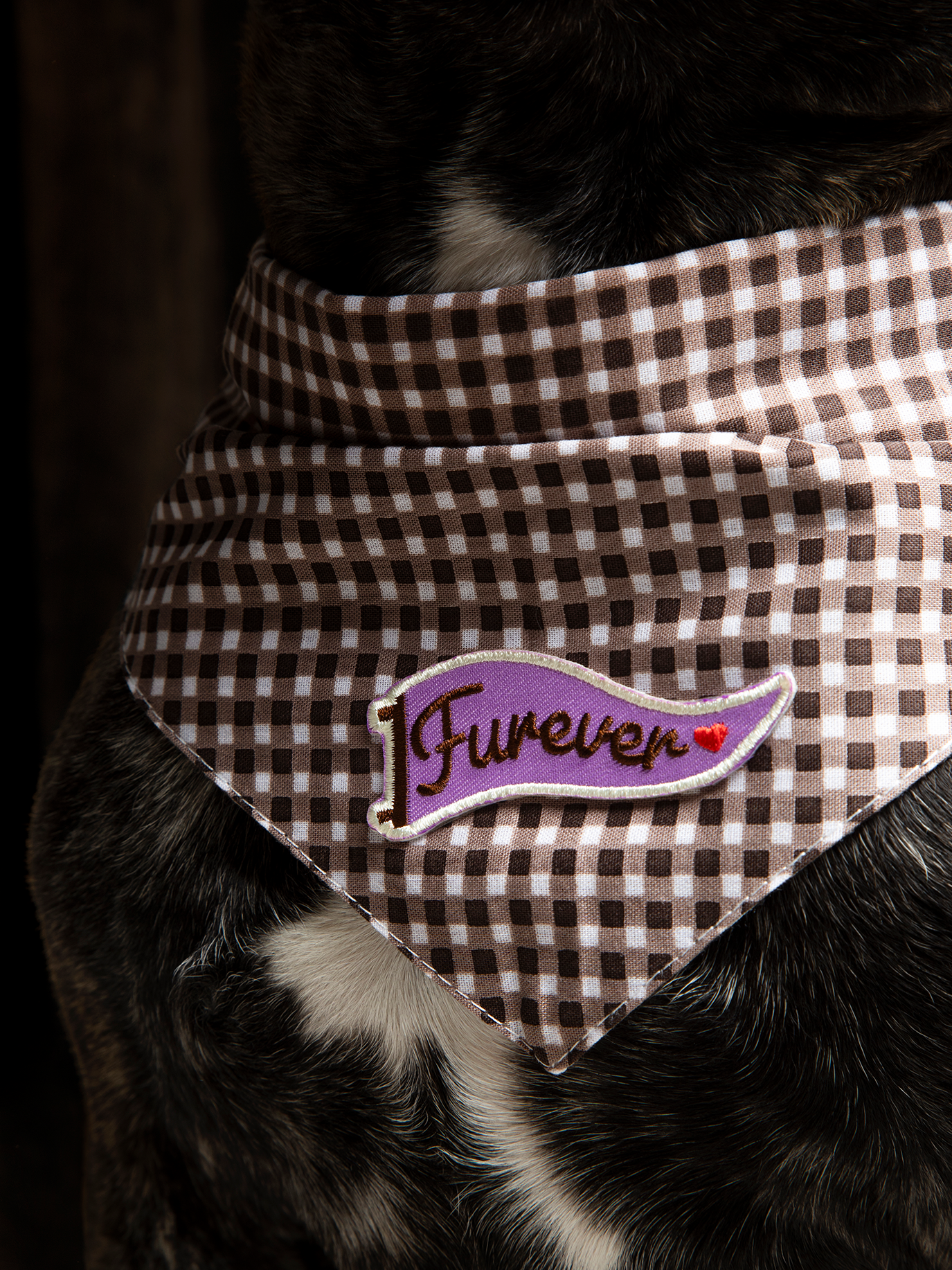 Scout's Honour Pty Ltd - Furever iron-on patch for dogs and cats