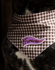 Scout's Honour Pty Ltd - Furever iron-on patch for dogs and cats