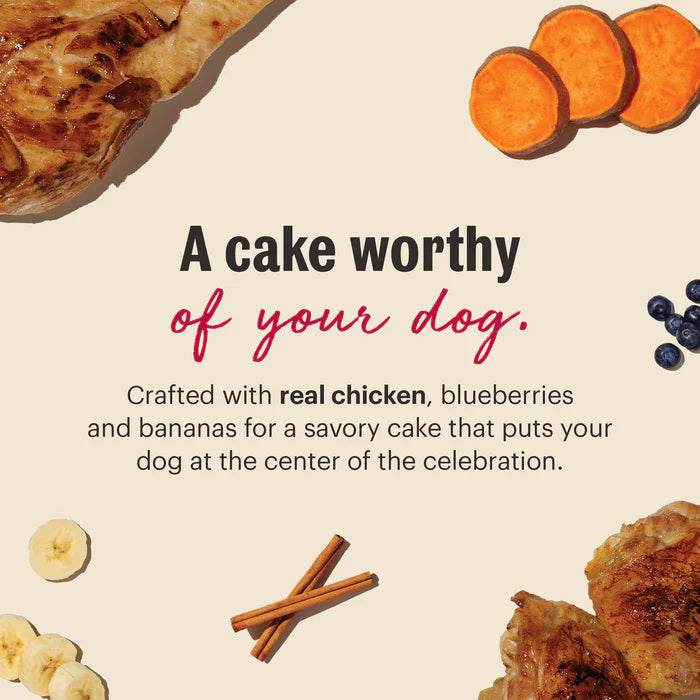 The Honest Kitchen Birthday Cake Mix