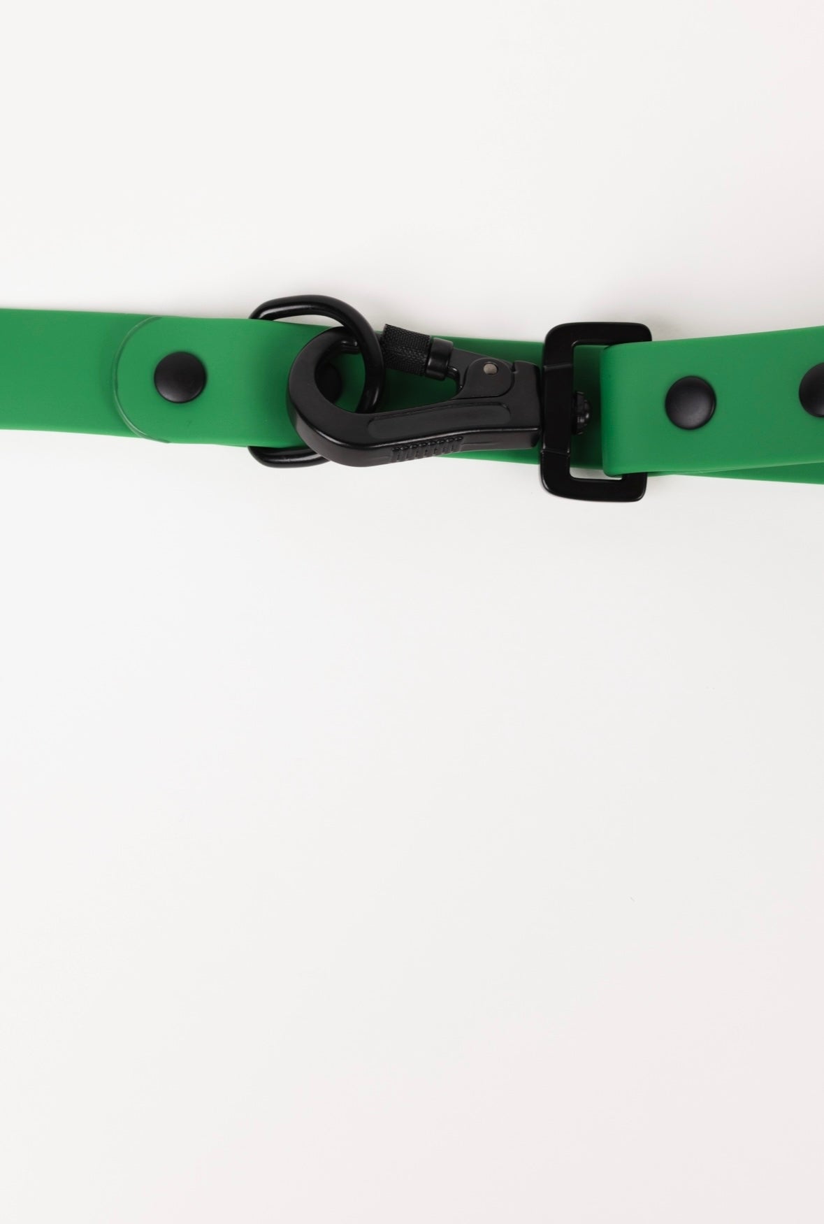 Modern dog best sale leash