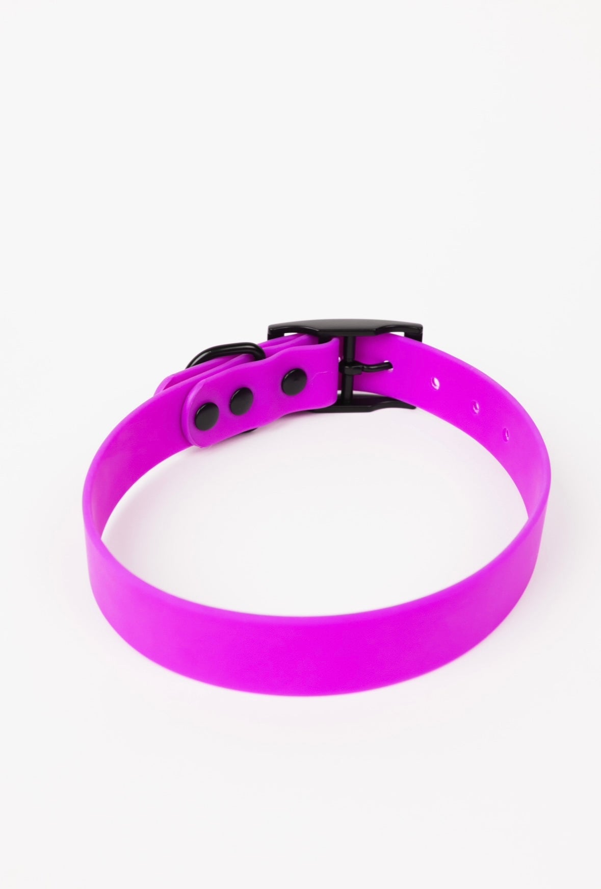 The Modern Dog Company - Electric Fuchsia Collar (Weather + Odor Resistant)