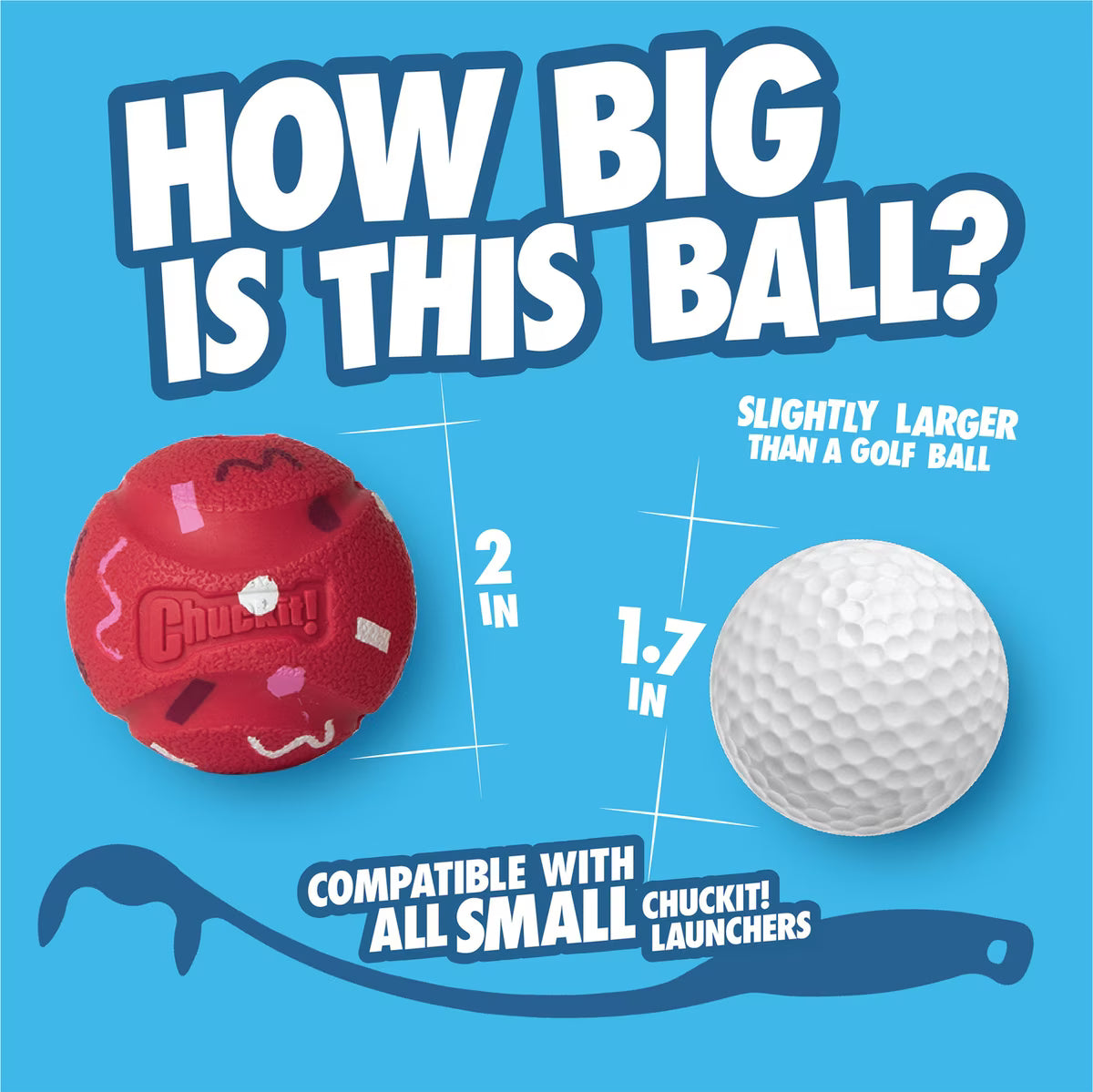 Chuckit! Birthday Exercise Ball Dog Toy