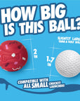 Chuckit! Birthday Exercise Ball Dog Toy