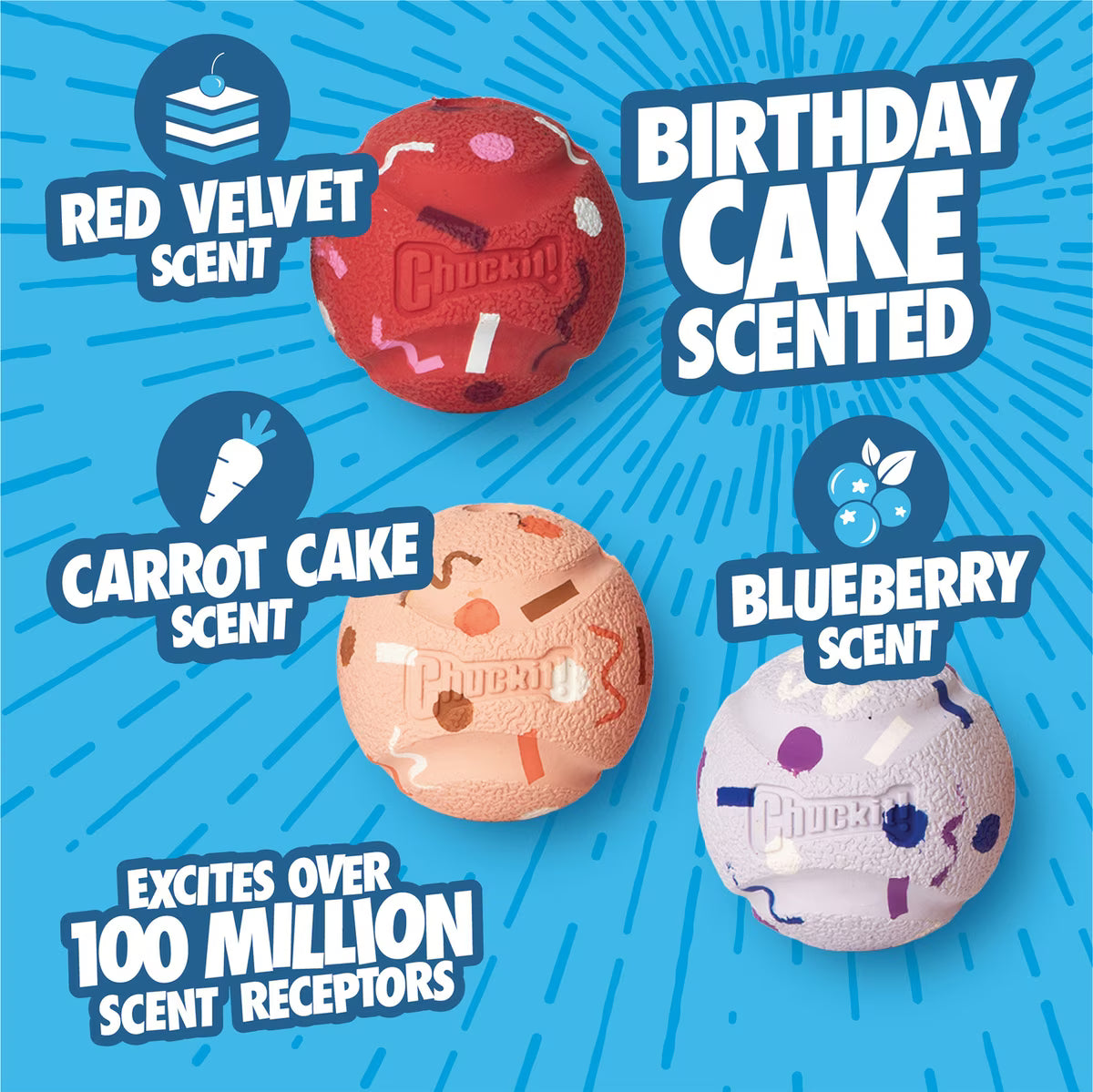 Chuckit! Birthday Exercise Ball Dog Toy