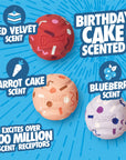 Chuckit! Birthday Exercise Ball Dog Toy