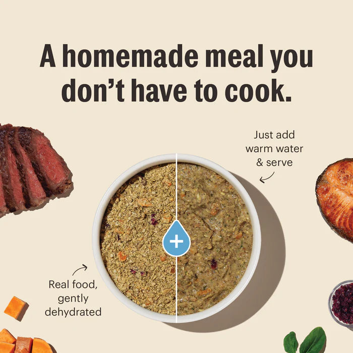 The Honest Kitchen Wholemade Whole Grain Fish &amp; Oat Dehydrated Food