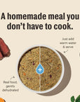 The Honest Kitchen Wholemade Whole Grain Chicken Dehydrated Food