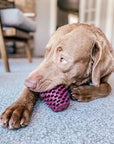 Tall Tails Natural Rubber Pinecone Reward Dog Toy
