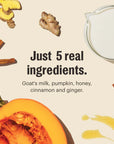 The Honest Kitchen Pumpkin Spice Latte