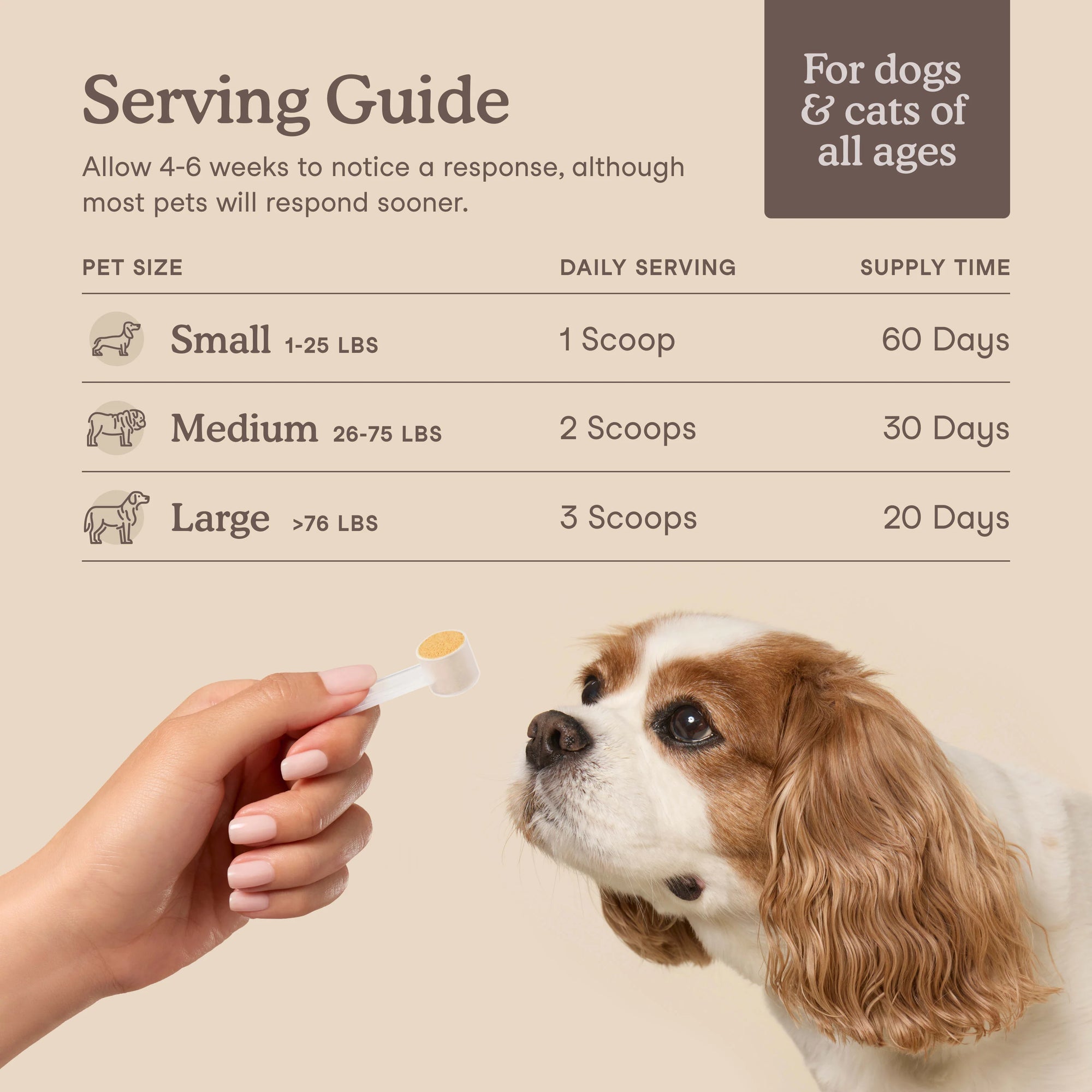 Fera Pets Liver Support for Dogs and Cats