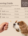 Fera Pets Liver Support for Dogs and Cats