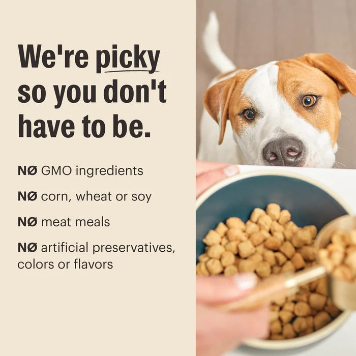 The Honest Kitchen Grain Free Chicken Whole Food Clusters for Small Breeds