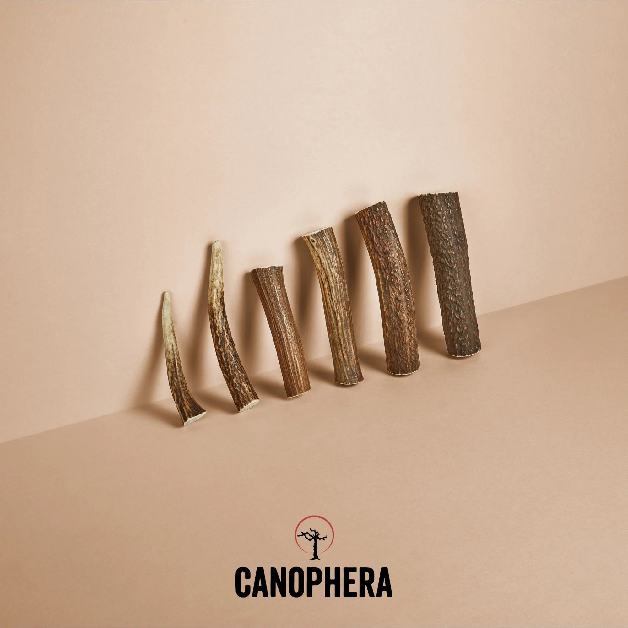 Canophera Red Deer Whole Antler