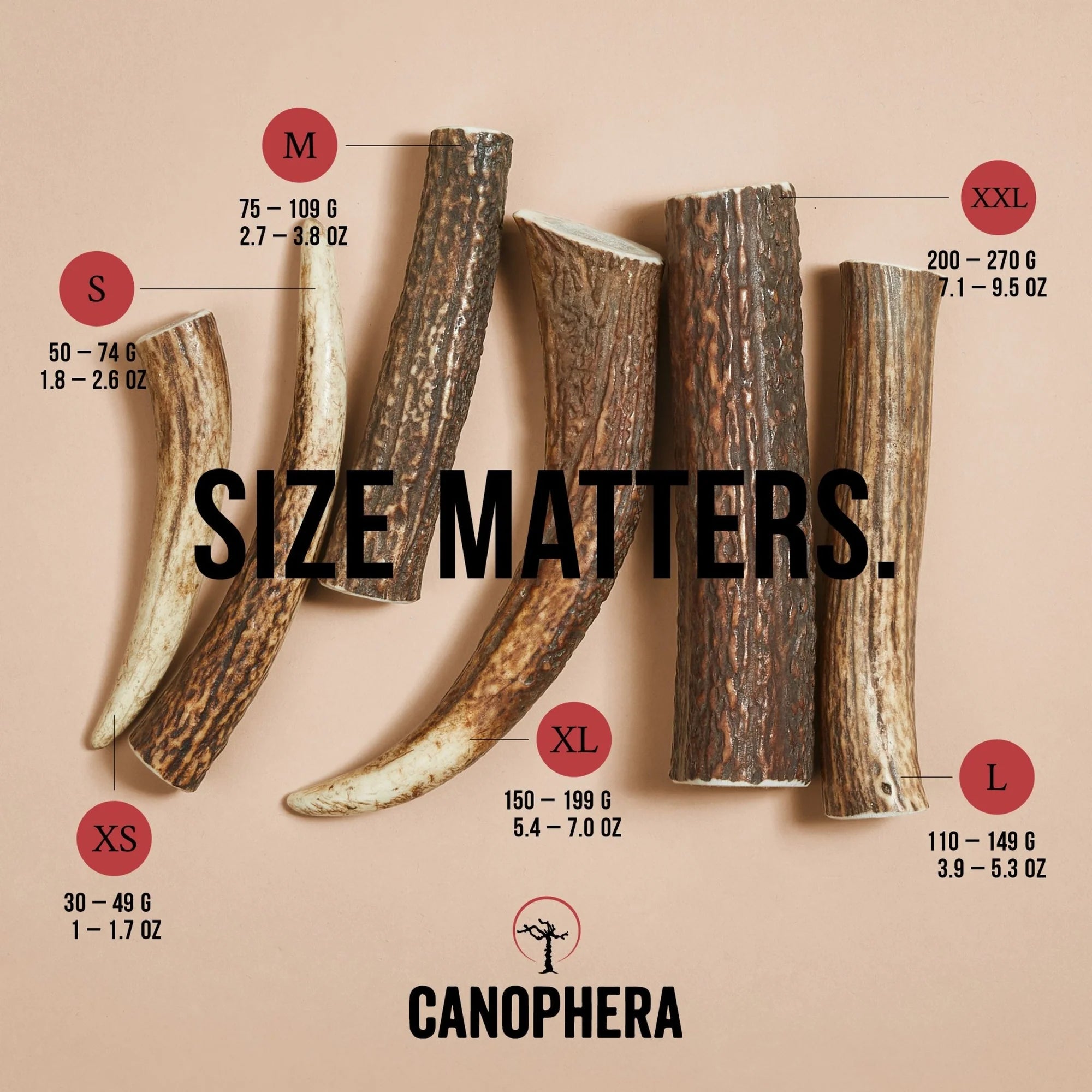 Canophera Red Deer Whole Antler