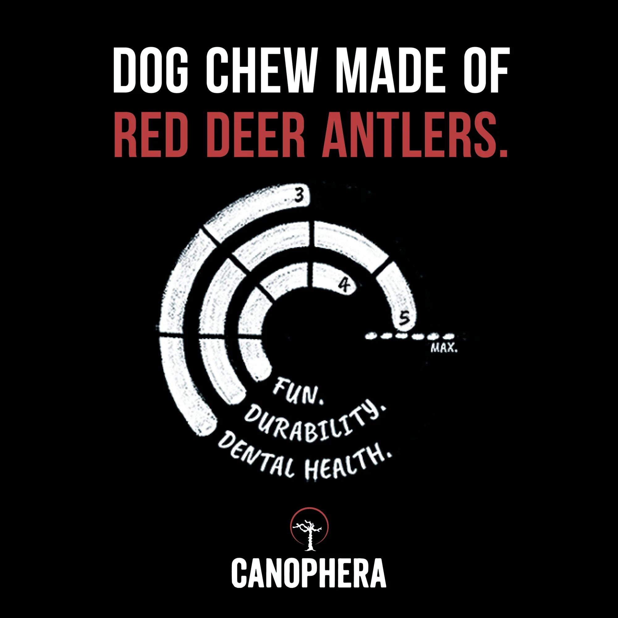Canophera Red Deer Whole Antler