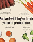 The Honest Kitchen Grain Free Beef Whole Food Clusters for Small Breeds