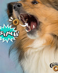 Fromm Crunchy Os Banana Kablammas® Flavor Dog Treats