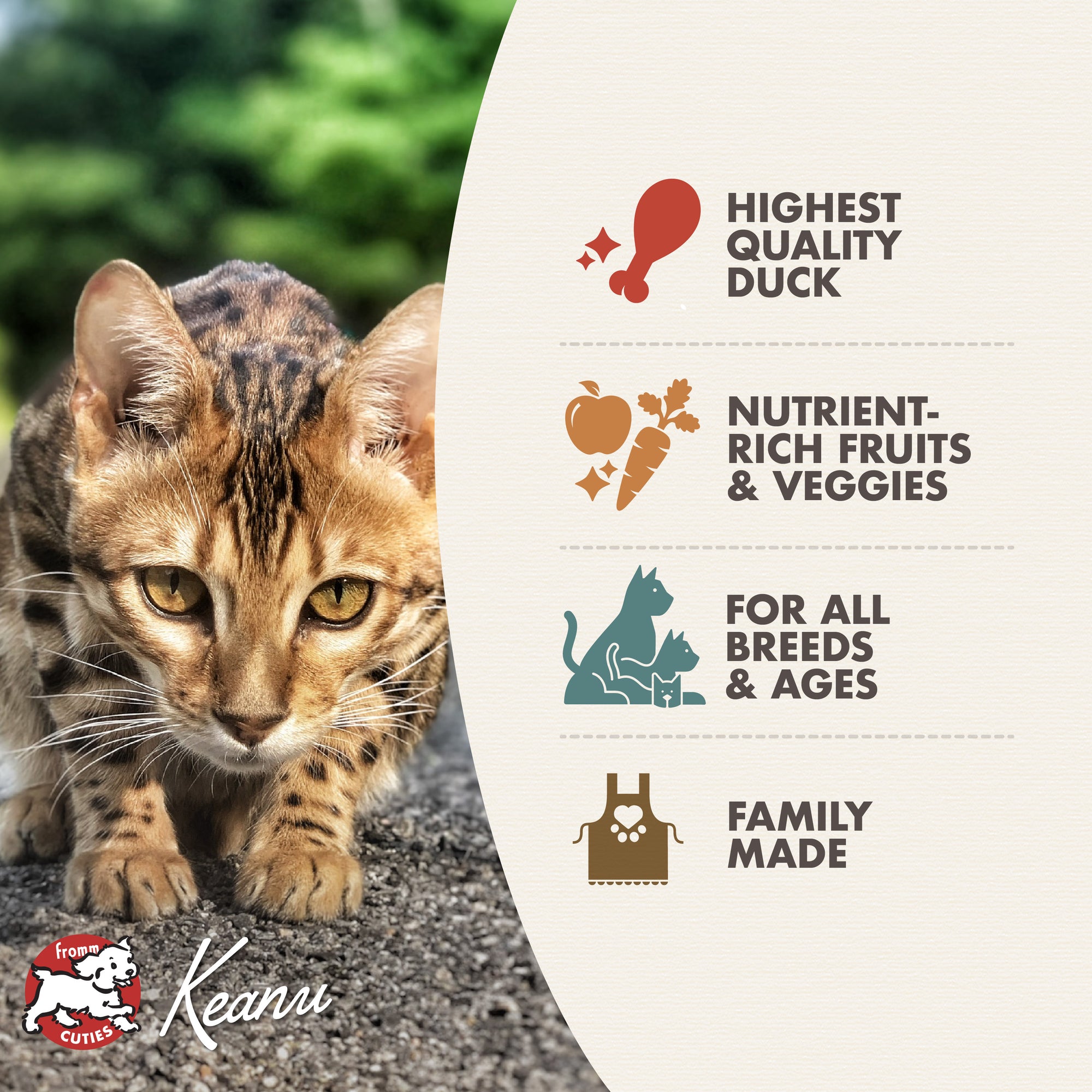 Fromm Four-Star Four-Star Duck À La Veg® Recipe Dry Cat Food