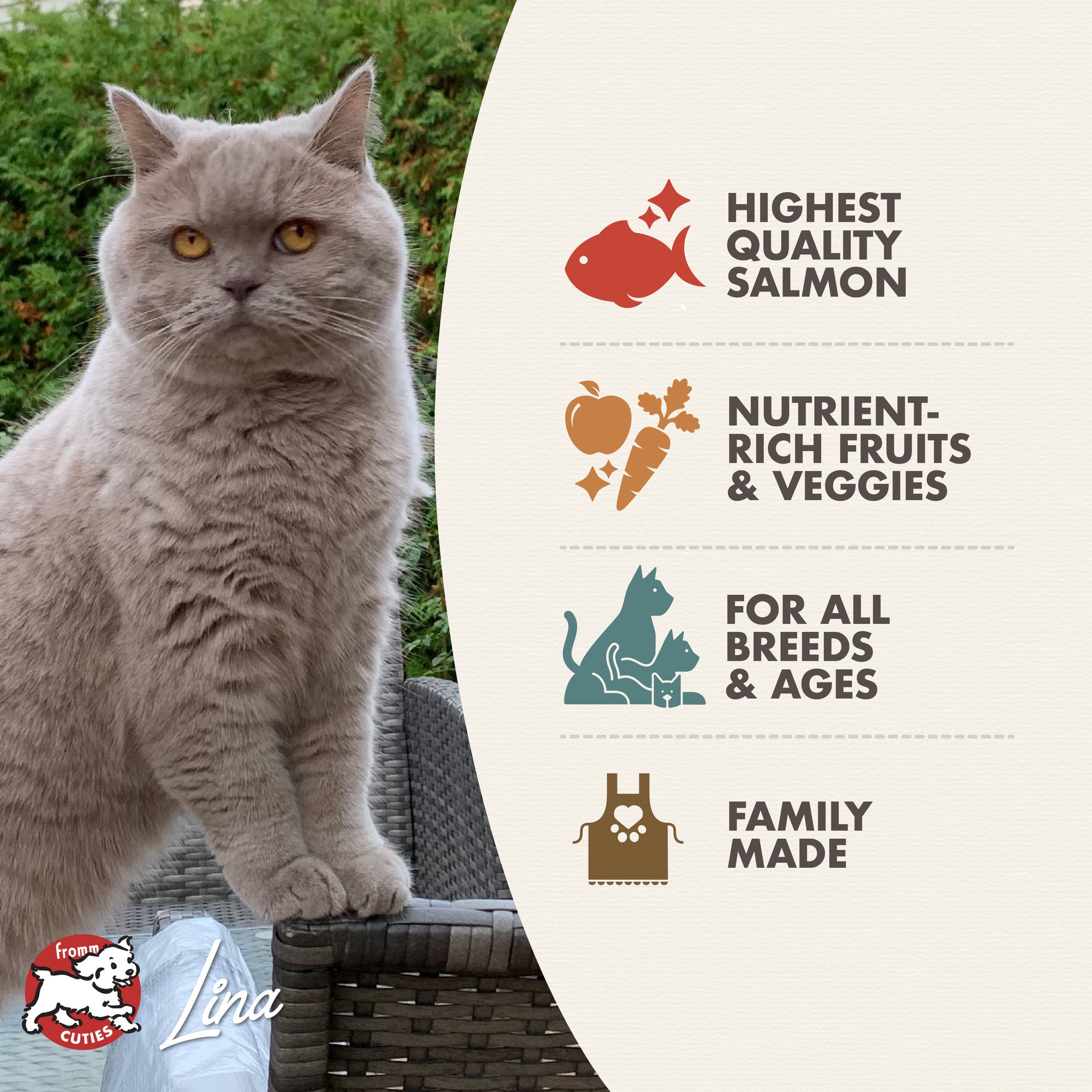 Fromm Four-Star Salmon À La Veg® Recipe Dry Cat Food