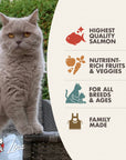 Fromm Four-Star Salmon À La Veg® Recipe Dry Cat Food