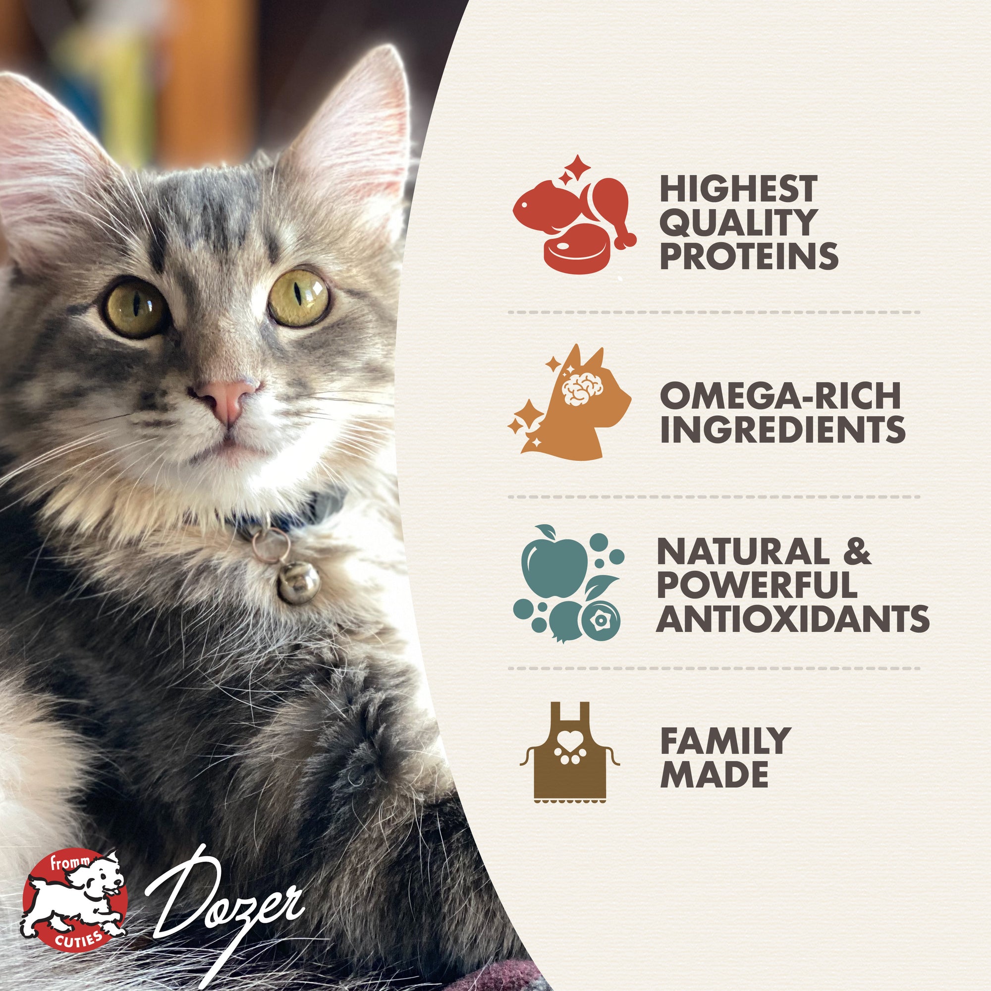 Fromm Gold Kitten Dry Cat Food