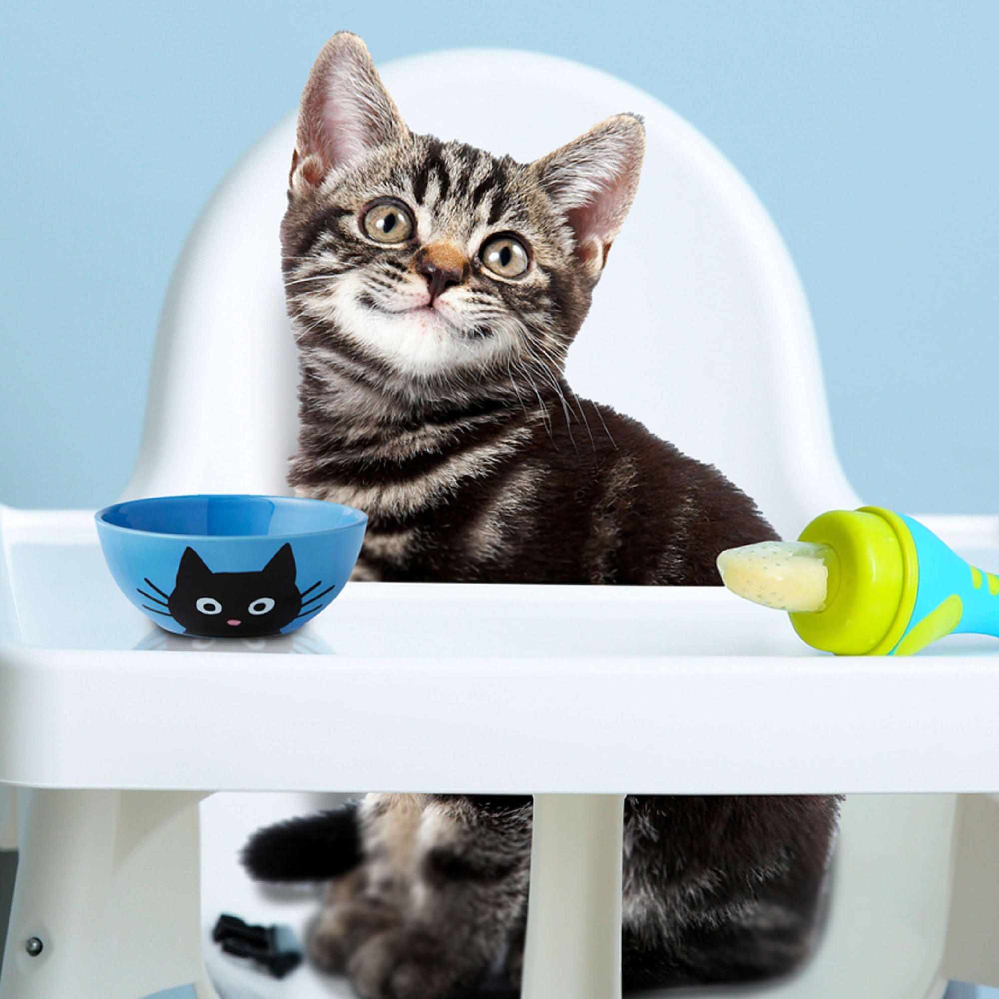 Fromm Gold Kitten Dry Cat Food