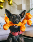 Play Pet Brands - Party Animal Balloon Buddy