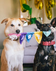 Play Pet Brands - Party Animal Tug n’ Party Banner