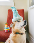 Play Pet Brands - Party Animal Yappy Party Hat