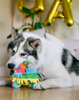 Play Pet Brands - Party Animal Fiesta Fetch Pinata